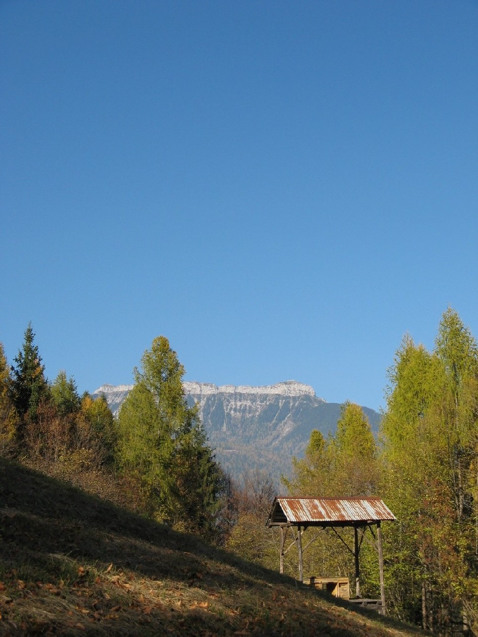 panorami bellunesi..